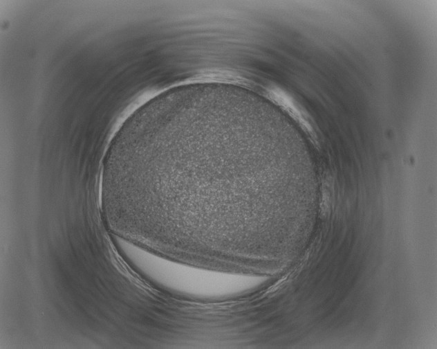 X0000085041276200703121424