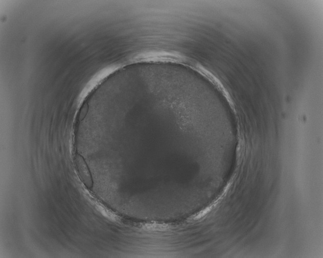 X0000085041277200703121424