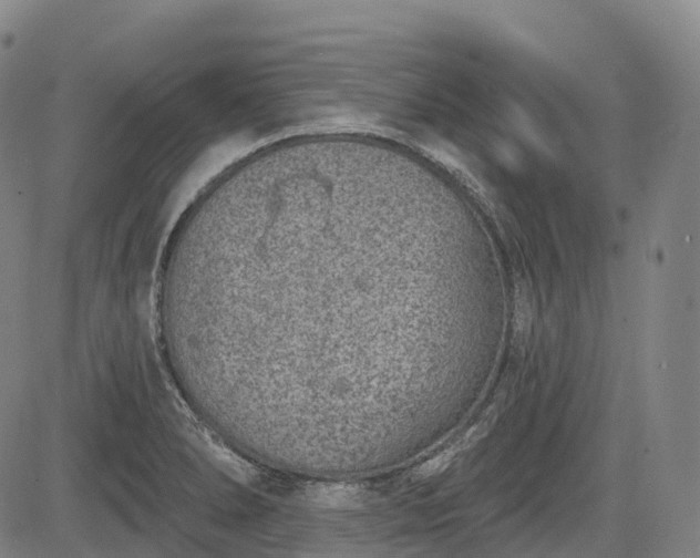 X0000085041278200703121424