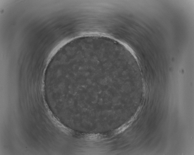 X0000085041279200703121424