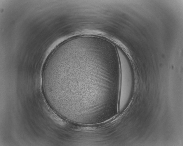 X0000085041280200703121424