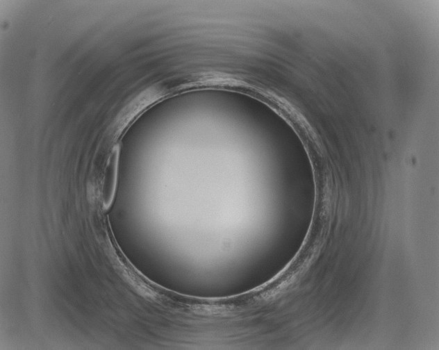 X0000085041281200703121424