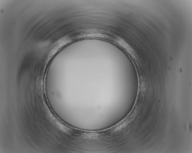 X0000085041282200703121424