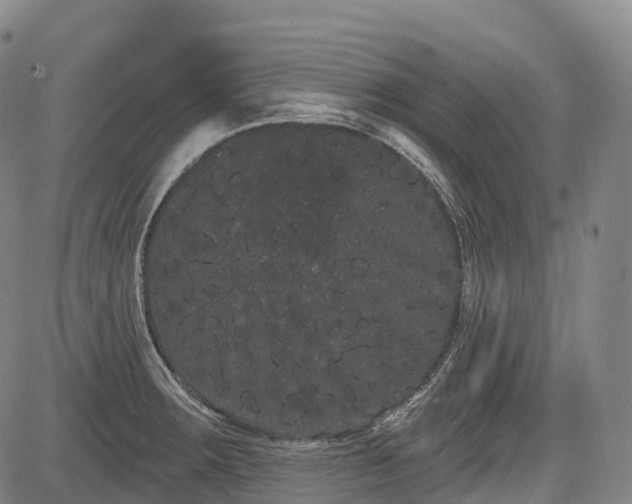 X0000085041283200703121424