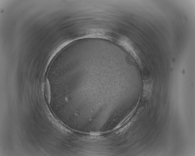 X0000085041284200703121424