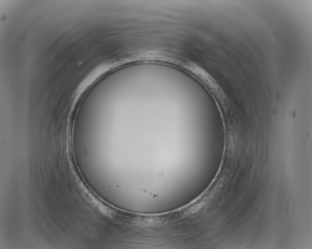 X0000085041286200703121424