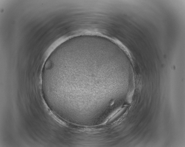 X0000085041287200703121424