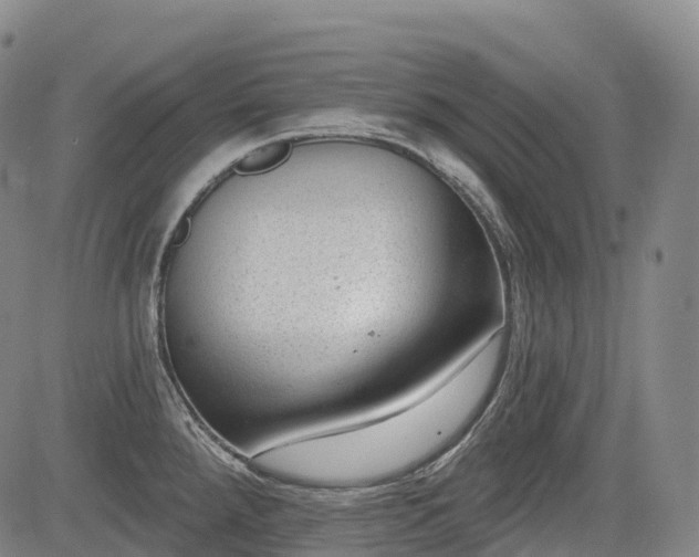 X0000085041288200703121424