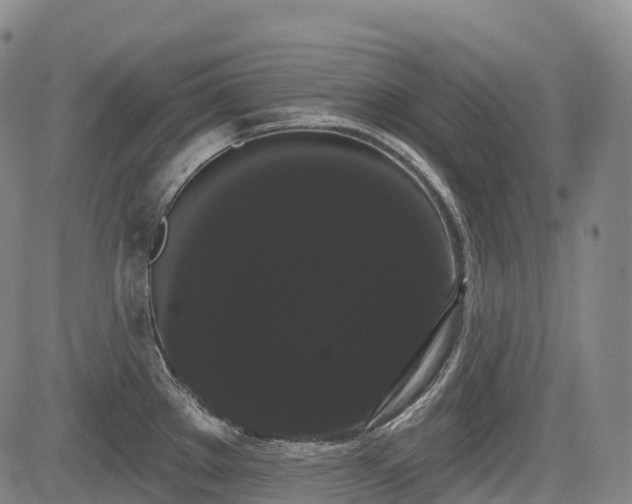 X0000085041289200703121424