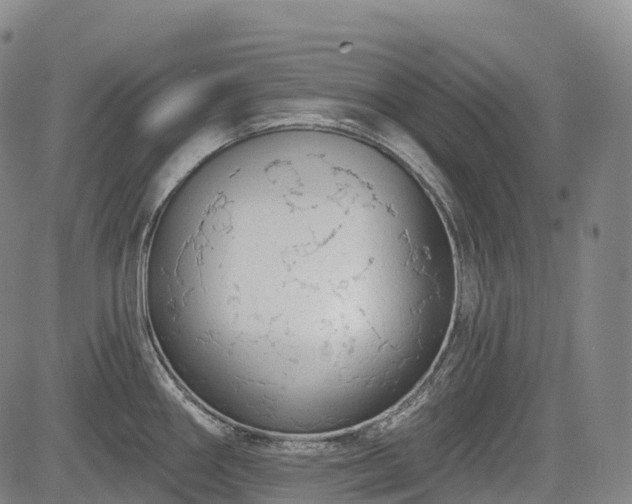 X0000085041290200703121424