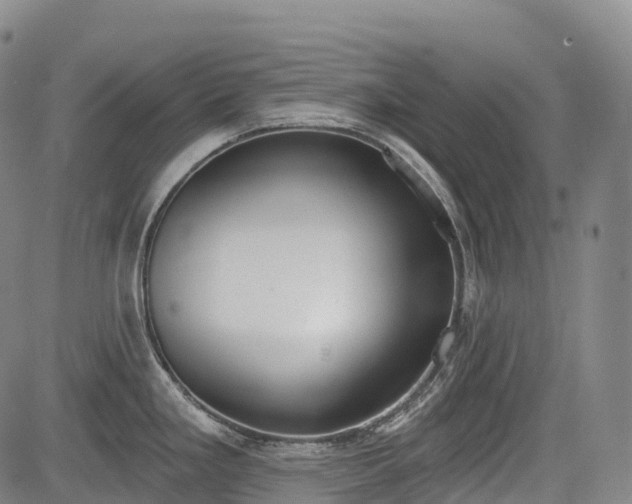 X0000085041293200703121424