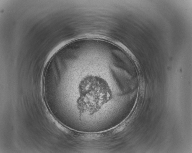 X0000085041294200703121424