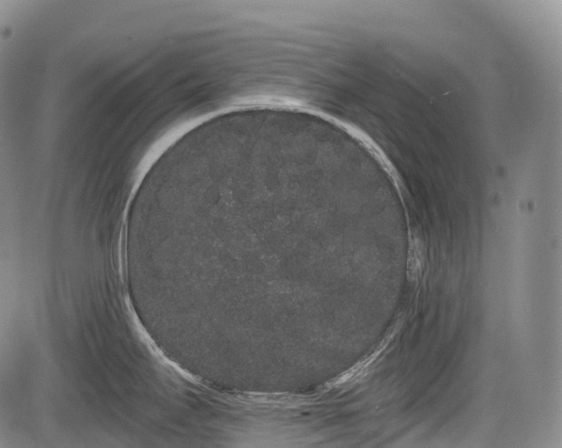 X0000085041295200703121424