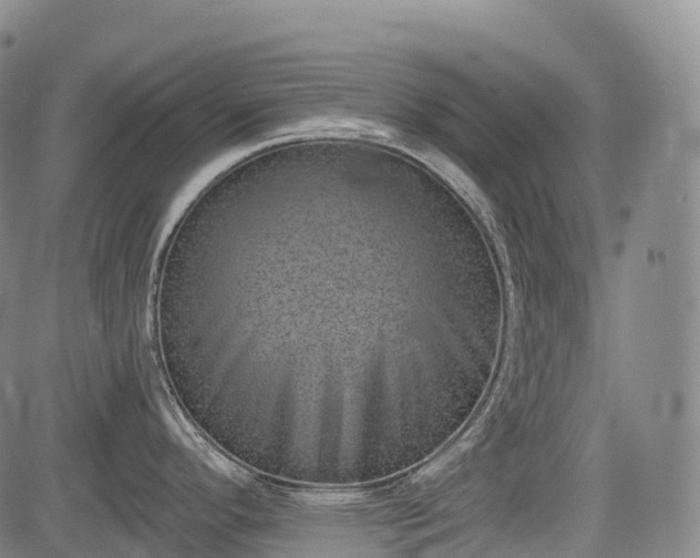 X0000085041296200703121424