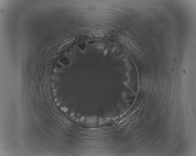 X0000085041297200703121423