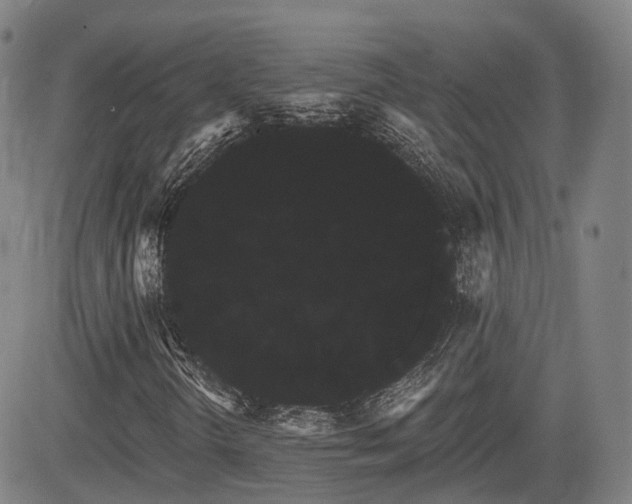 X0000085041298200703121423