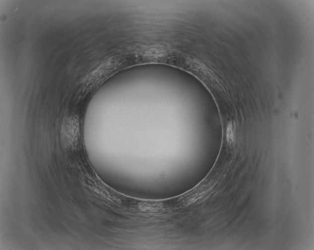 X0000085041299200703121423