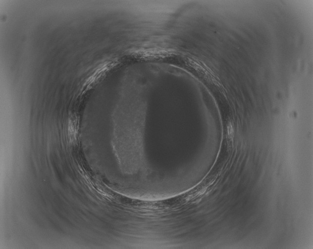 X0000085041300200703121423