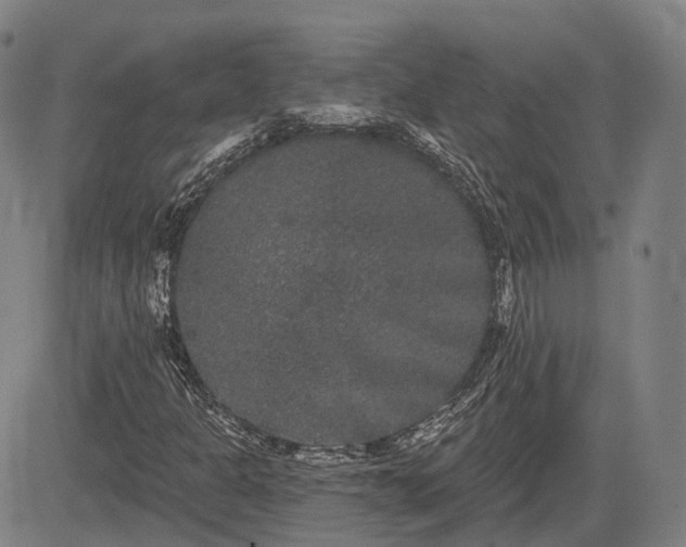 X0000085041301200703121423