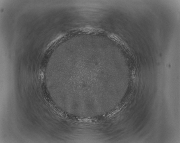 X0000085041302200703121423