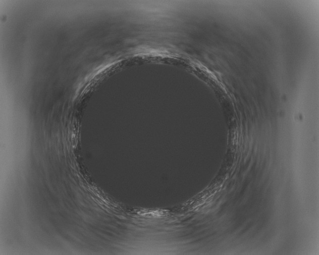 X0000085041303200703121423