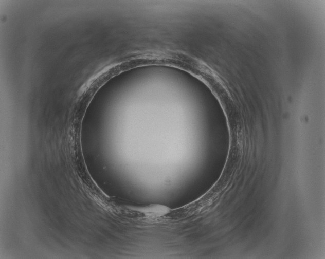 X0000085041304200703121423