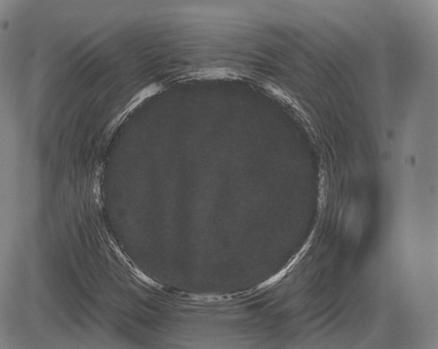 X0000085041305200703121423