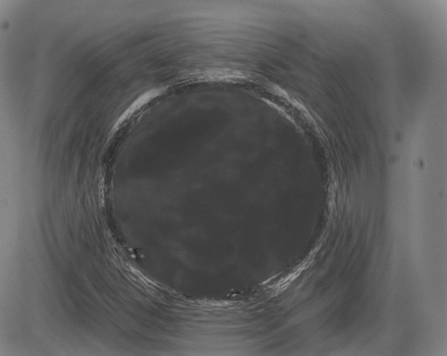 X0000085041306200703121423