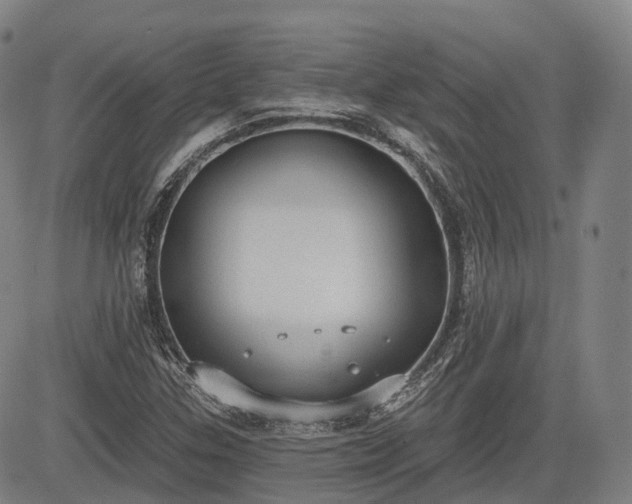 X0000085041307200703121423