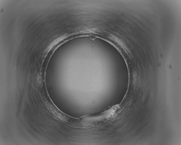 X0000085041308200703121423