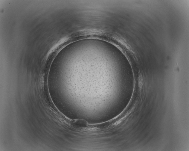 X0000085041309200703121423