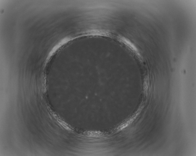 X0000085041310200703121423