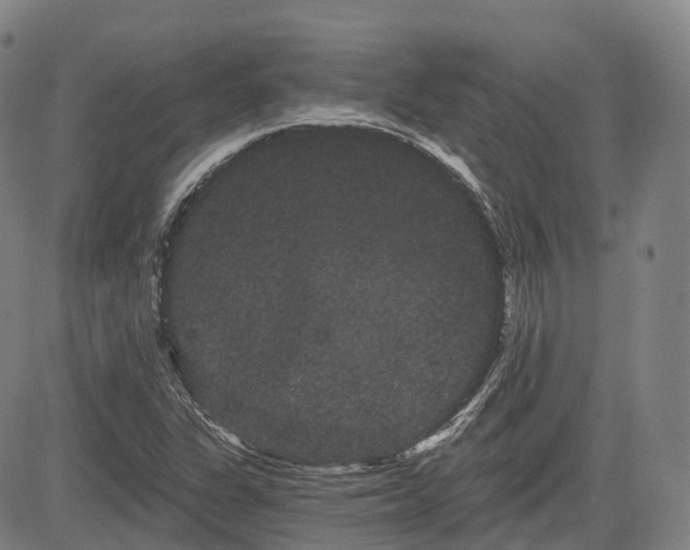 X0000085041311200703121423