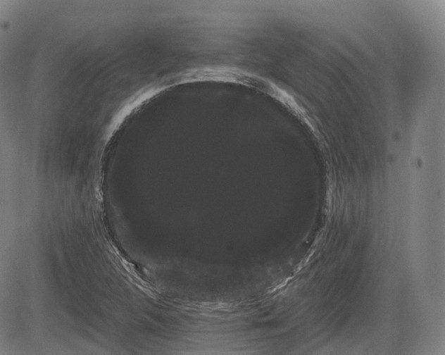 X0000085041312200703121423