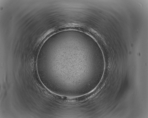 X0000085041313200703121423