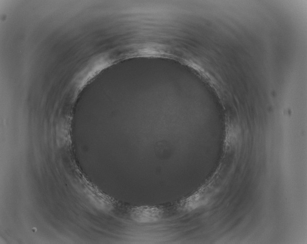 X0000085041314200703121423