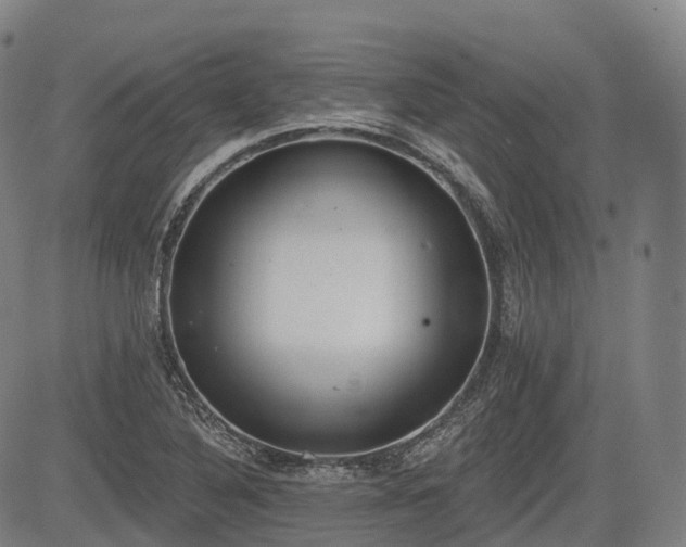 X0000085041316200703121423