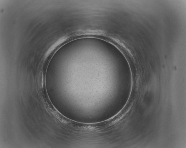 X0000085041317200703121423