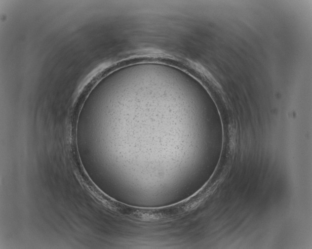 X0000085041318200703121423