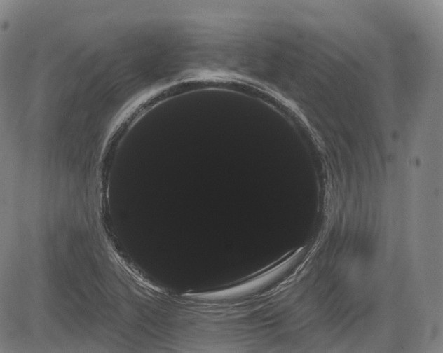 X0000085041319200703121423