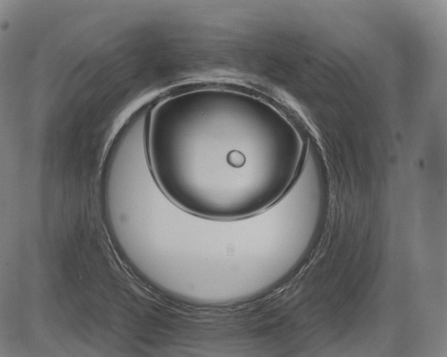 X0000085041320200703121423