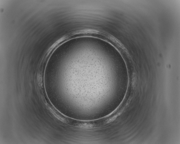 X0000085041321200703121423