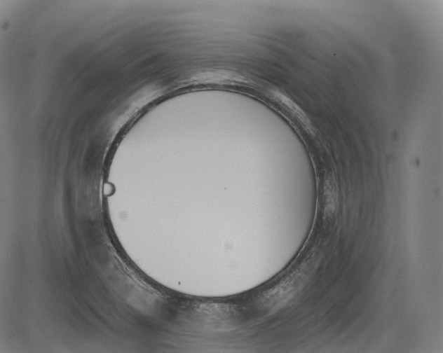 X0000085041322200703121423