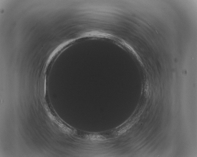 X0000085041323200703121423