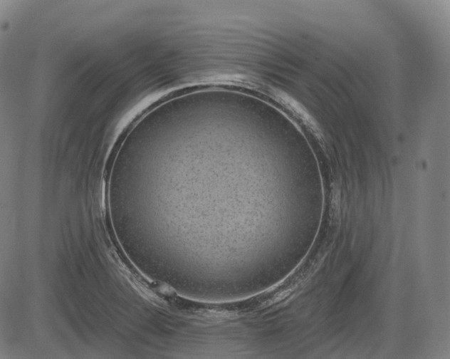 X0000085041324200703121423