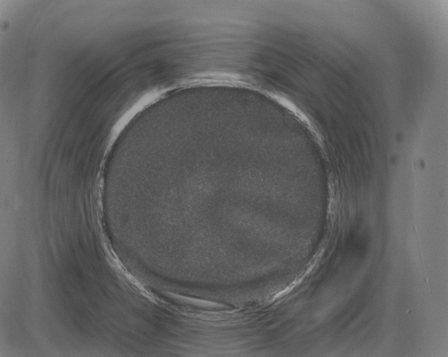 X0000085041325200703121423