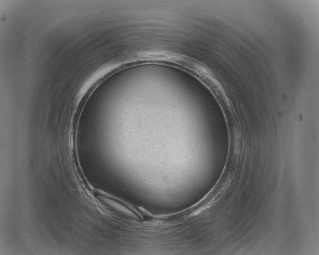 X0000085041328200703121423