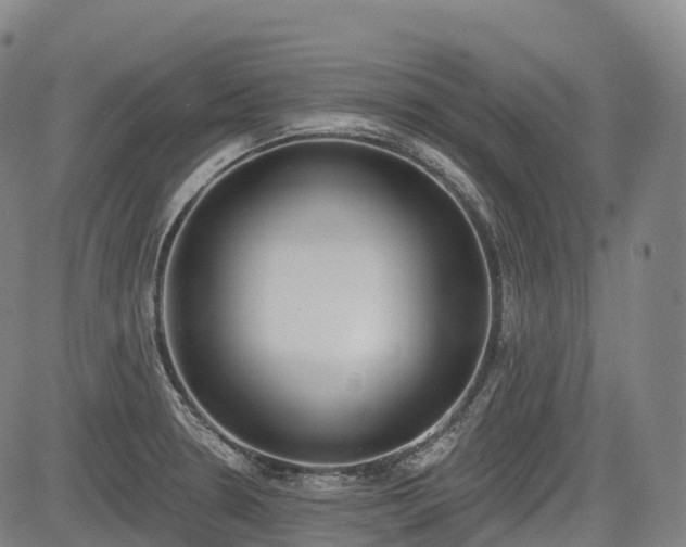 X0000085041330200703121423