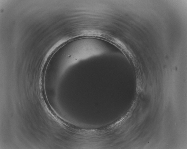 X0000085041331200703121423