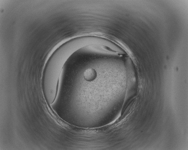 X0000085041332200703121423